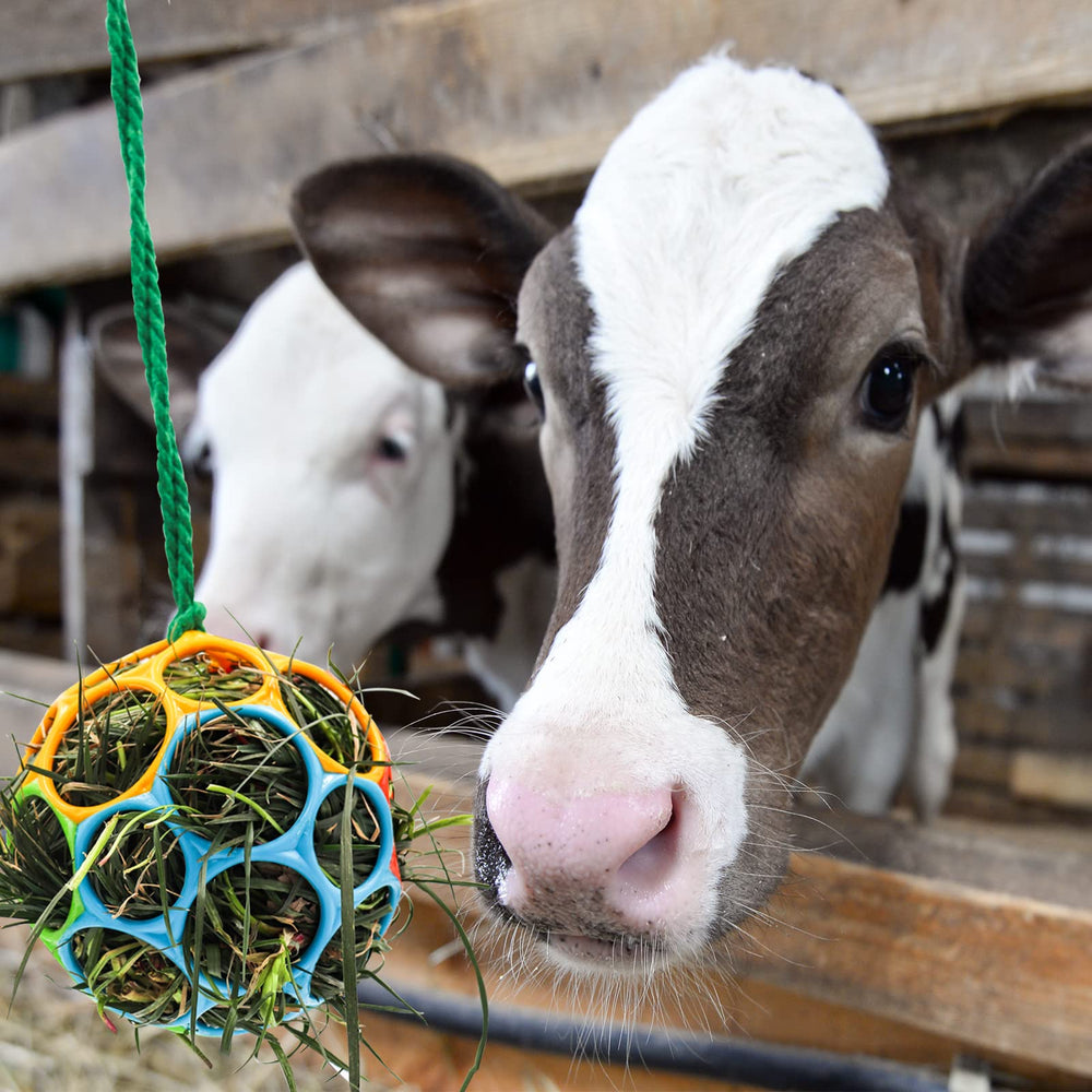 Besimple bola de alimento heno para oveja colgante, fomenta forraje natural