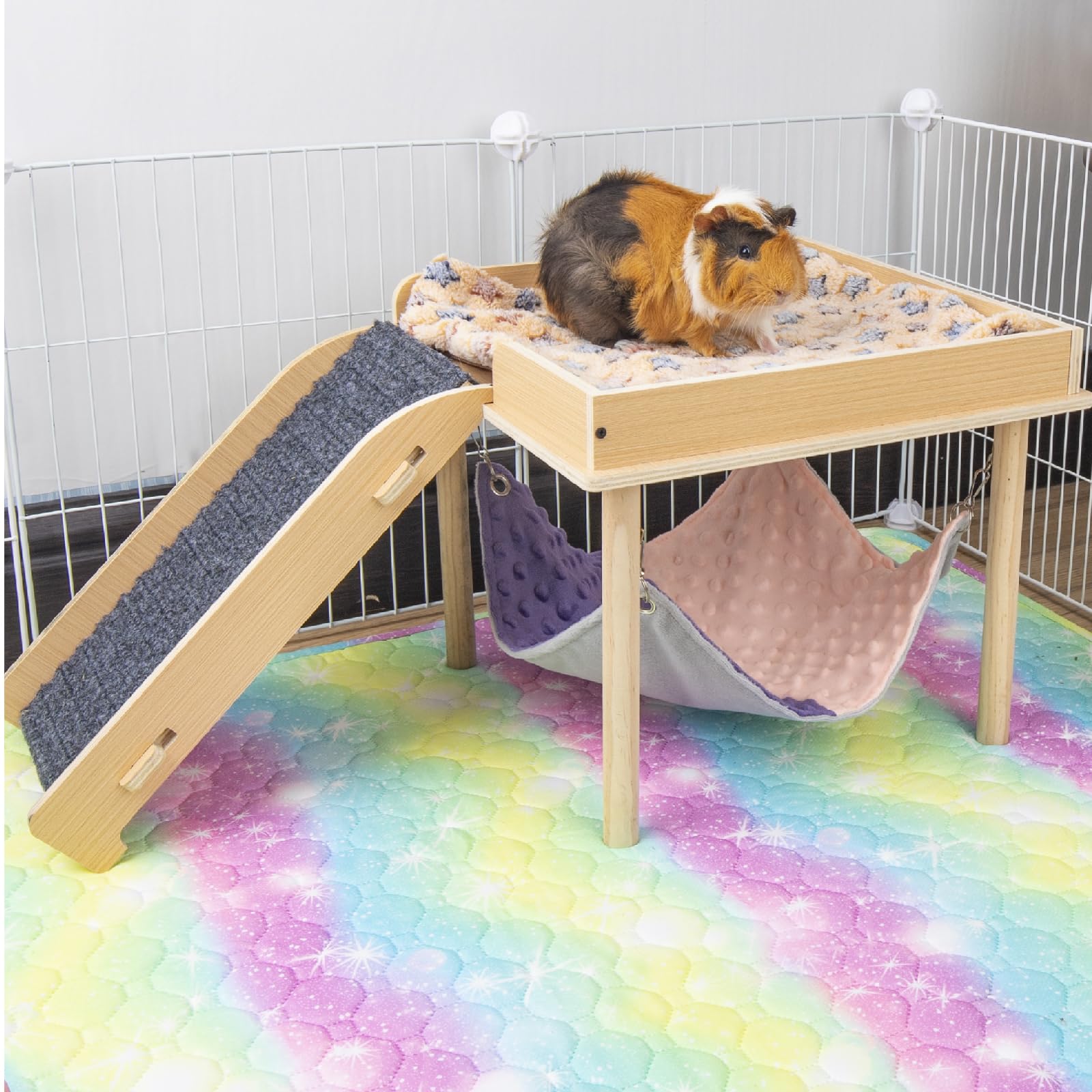 BESNEW regalo para mascotas pequeñas, opción práctica y divertida