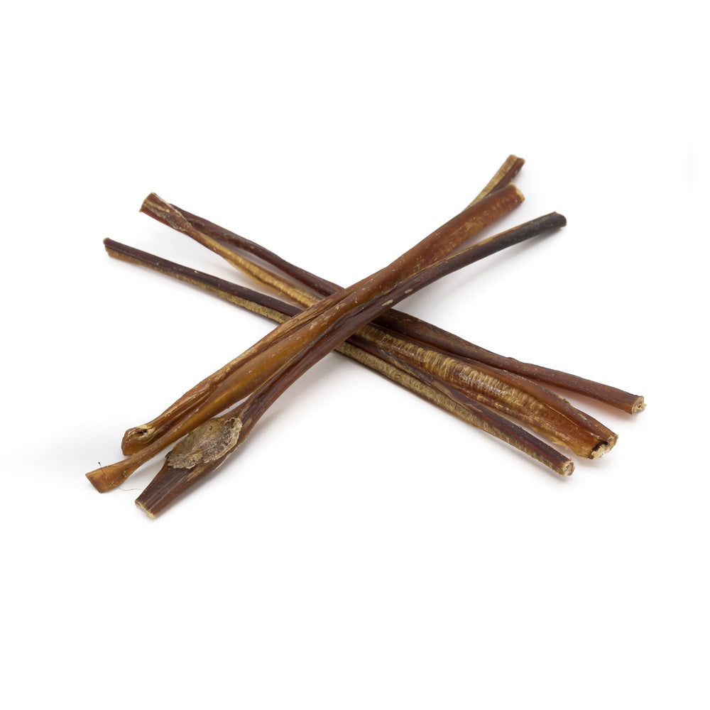 Best Bully Sticks apoyo dental durante la masticación.