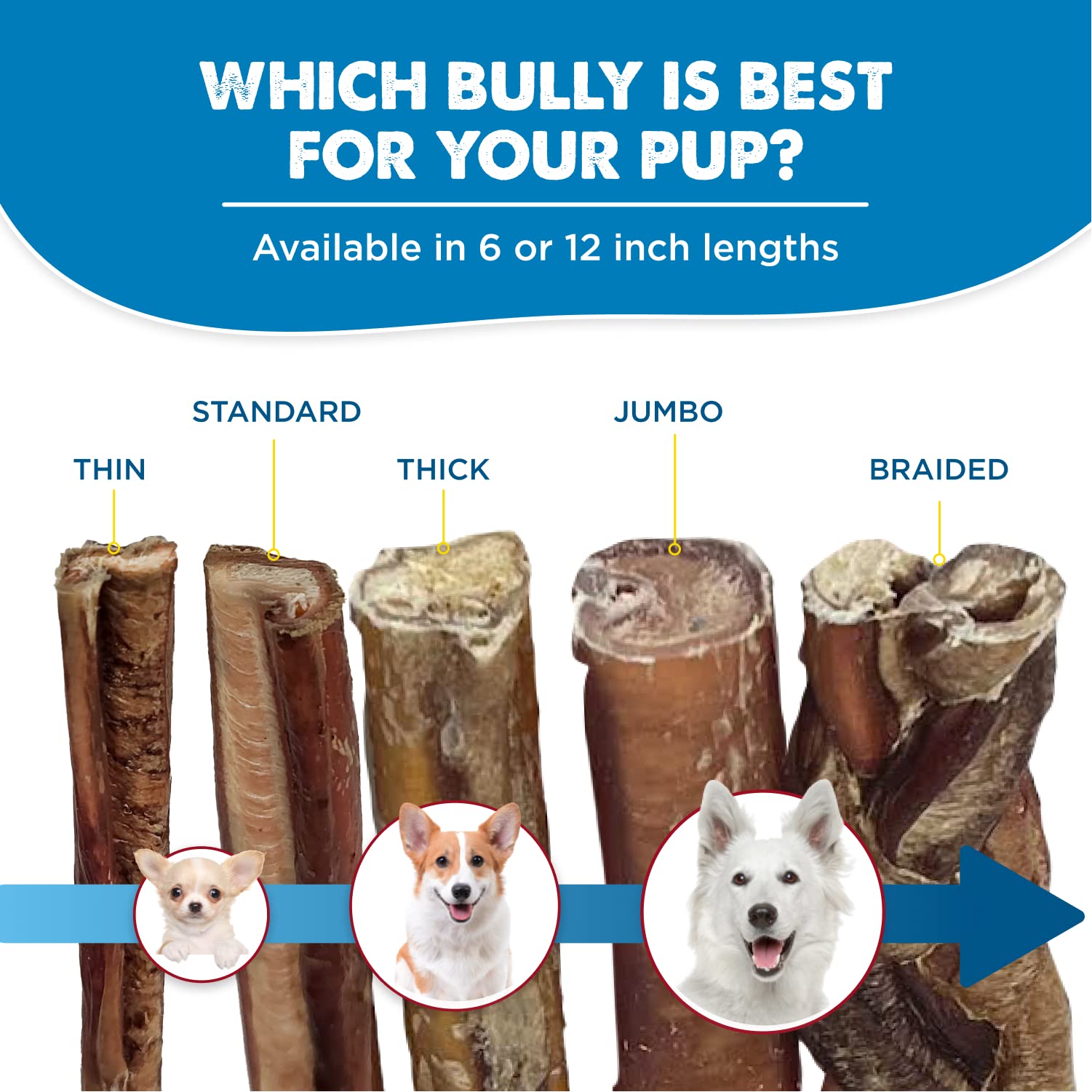 Best Bully Sticks cuidado dental durante la masticación y juego en casa.