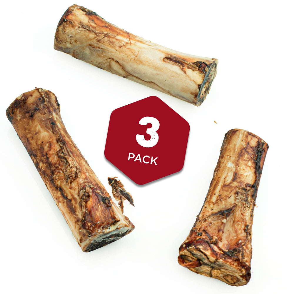 Best Bully Sticks Marrow Bones en acción: perro mastica huesos duraderos