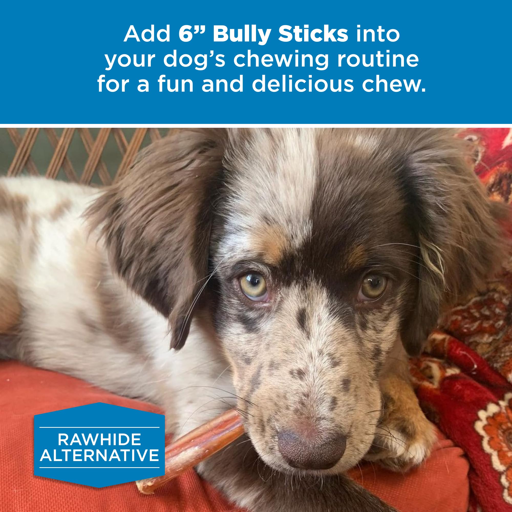 Best Bully Sticks etiqueta natural, sin aditivos, perfecto para recompensa.