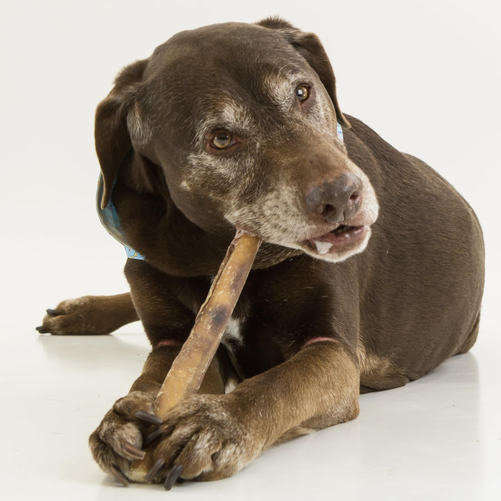 Best Bully Sticks jumbo sin cuero crudo garantiza masticación segura.