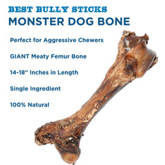 Perro masticando hueso Best Bully Sticks, experiencia dental intensa