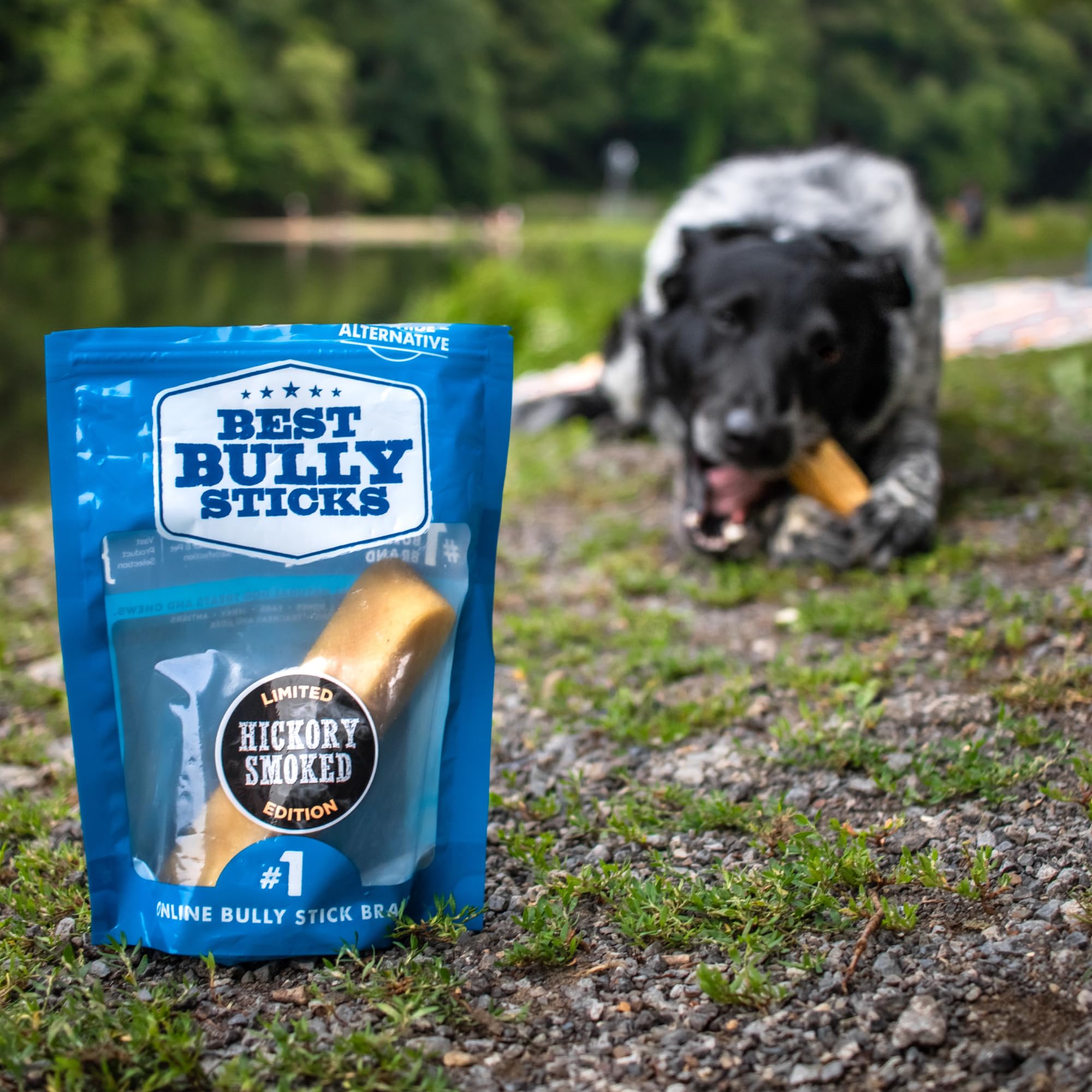Best Bully Sticks queso yak Himalaya sabor cremoso, ideal para recompensa durante entrenamiento