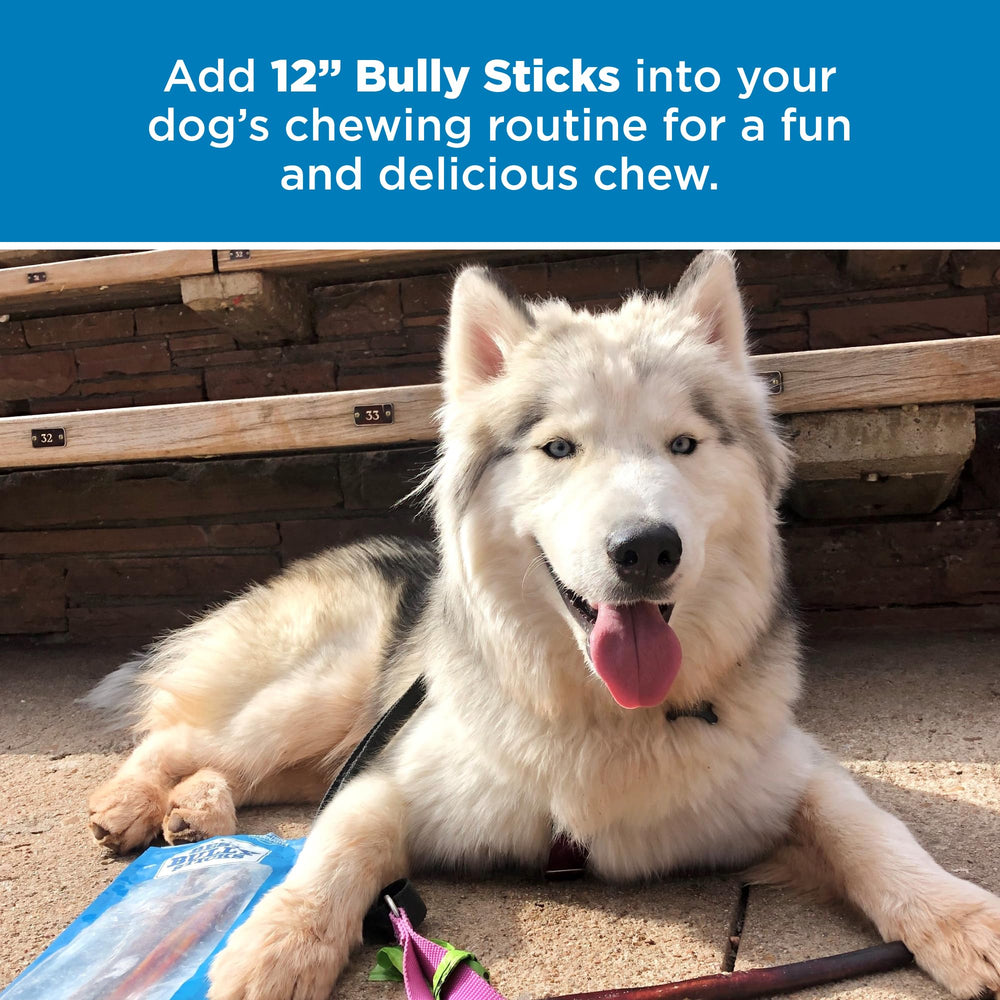 Best Bully Sticks res de pasto, sabor auténtico.