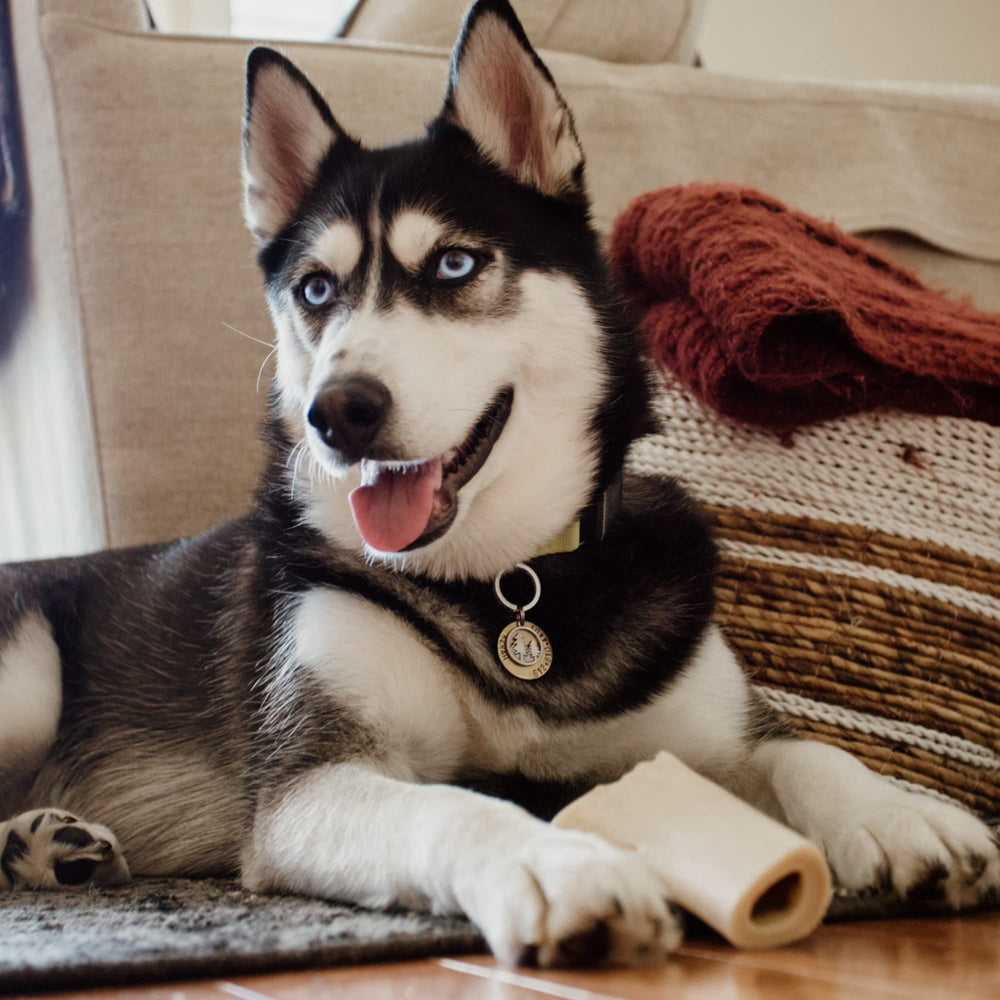 Best Bully Sticks: textura dura que ayuda a retirar sarro y placa para la higiene dental.