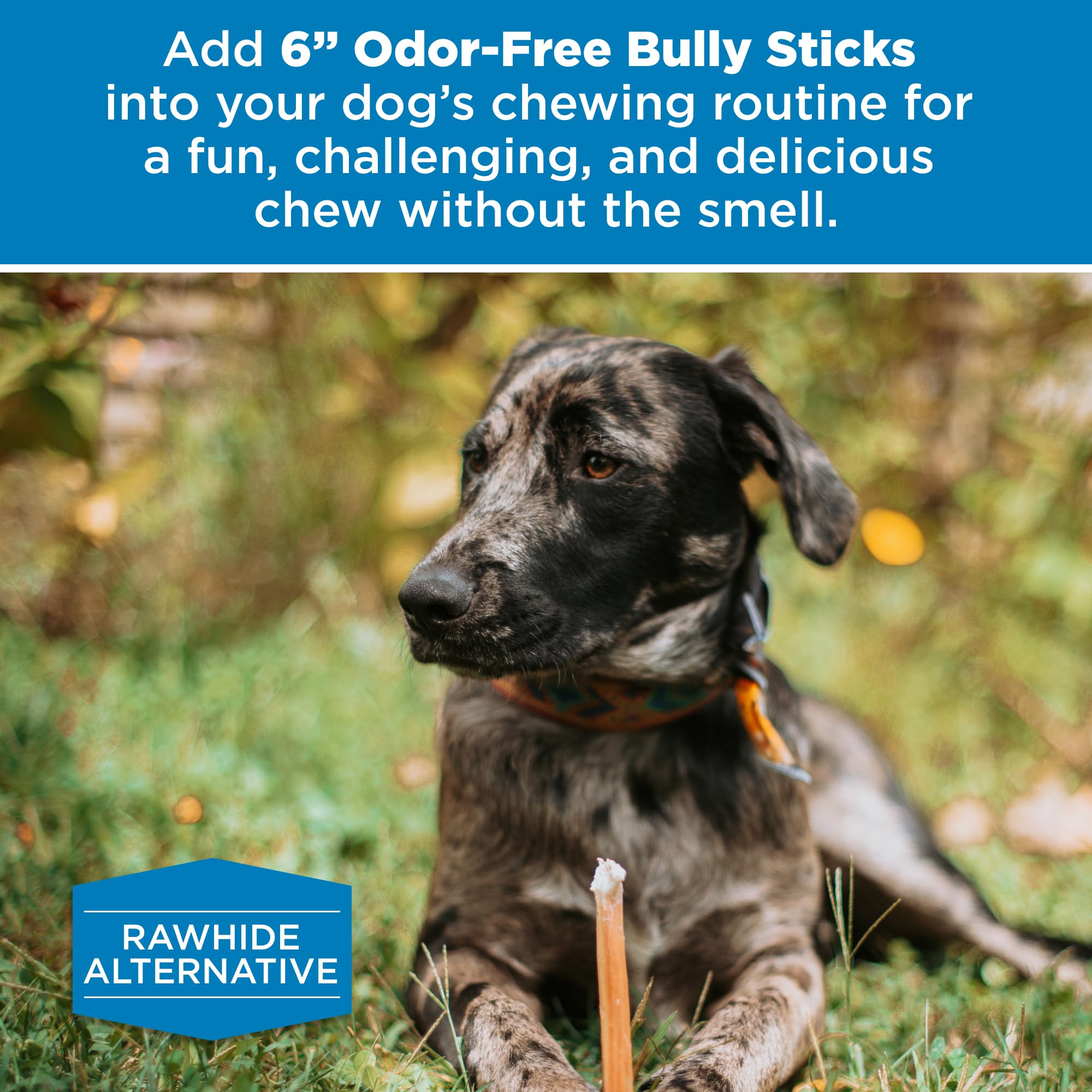 Best Bully Sticks snack proteico sin granos para perros.