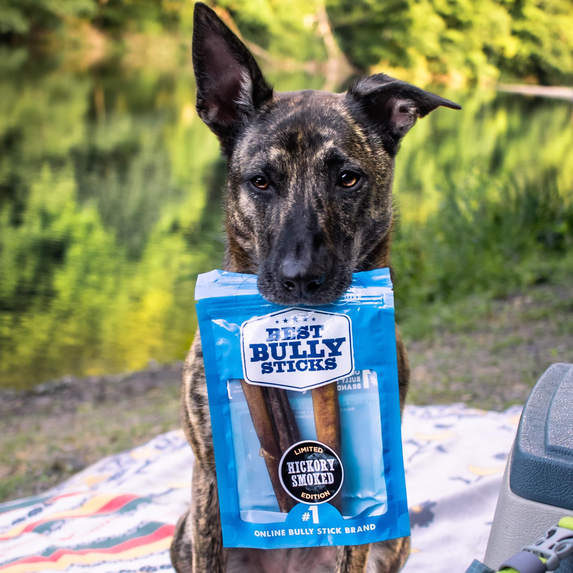 Best Bully Sticks sin aditivos para snack natural y sabroso