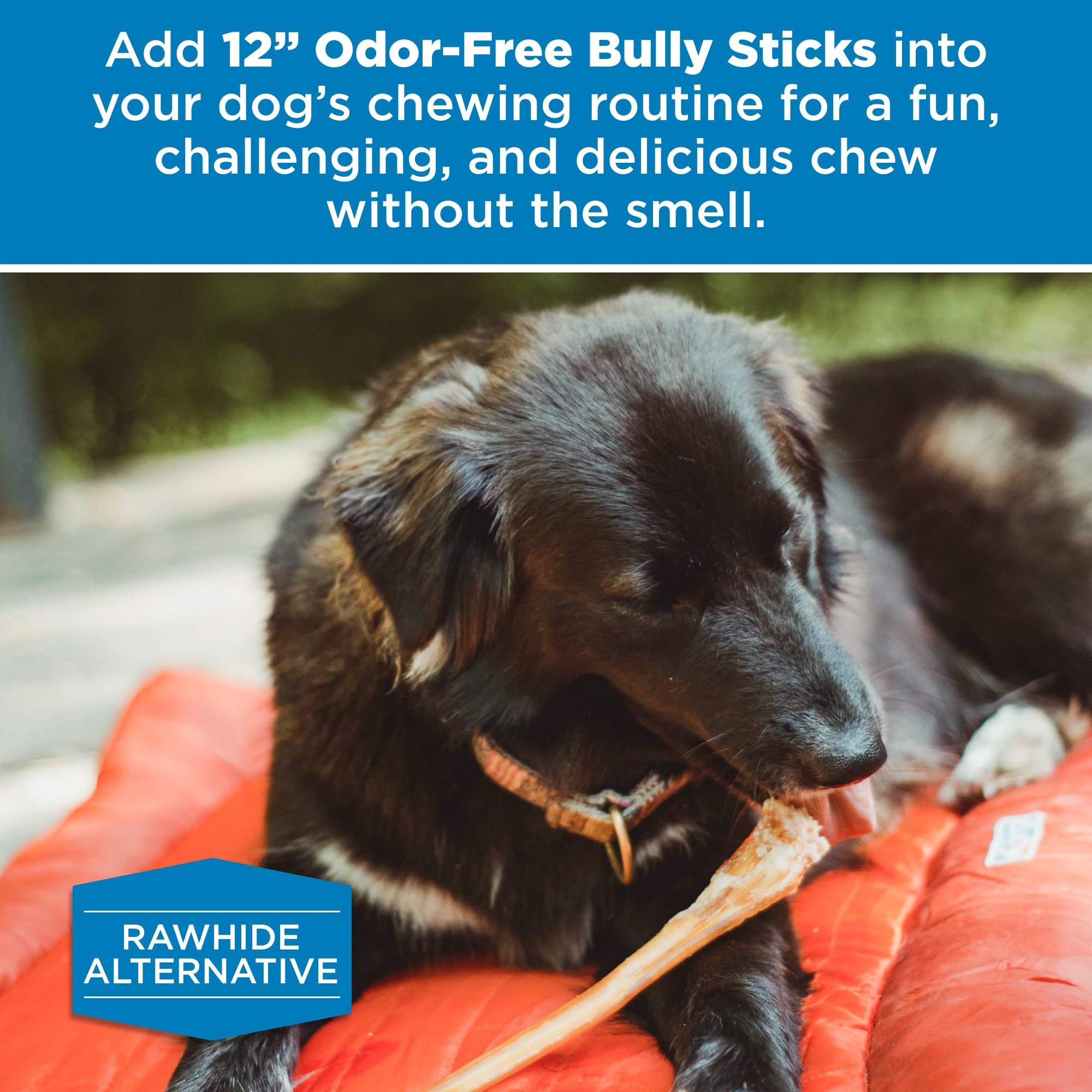 Best Bully Sticks uso diario para perros grandes, snack nutritivo.