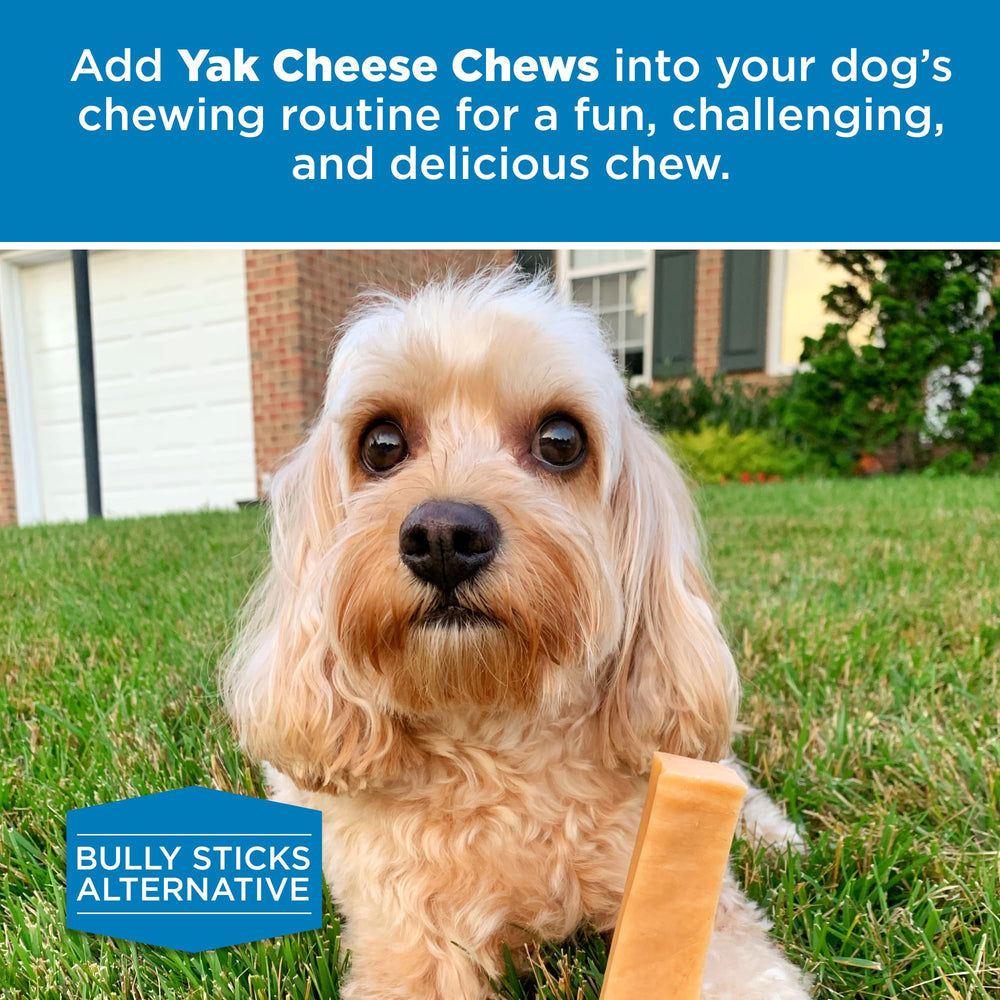 Best Bully Sticks Yak Cheese ideal para entrenamiento y recompensas sabrosas