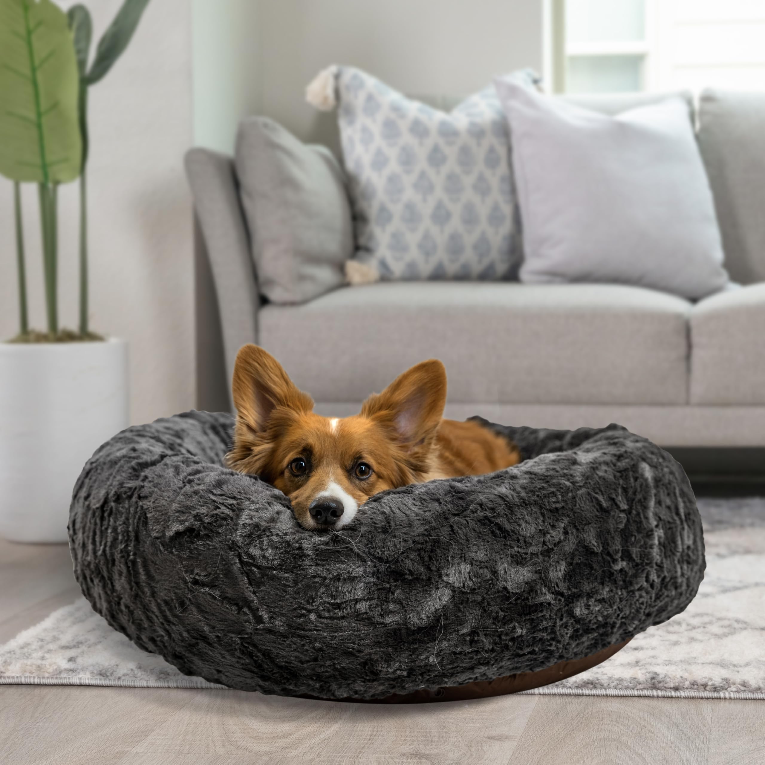 Cama para mascotas pequeñas en Best Friends by Sheri 30in