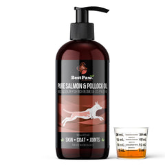Best Paw Nutrition Aceite de salmón Alaska con pump para dosis fáciles.
