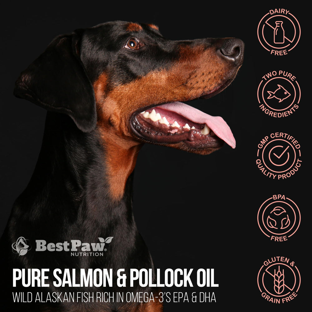 Best Paw Nutrition Hecho en Estados Unidos con fórmula limpia.