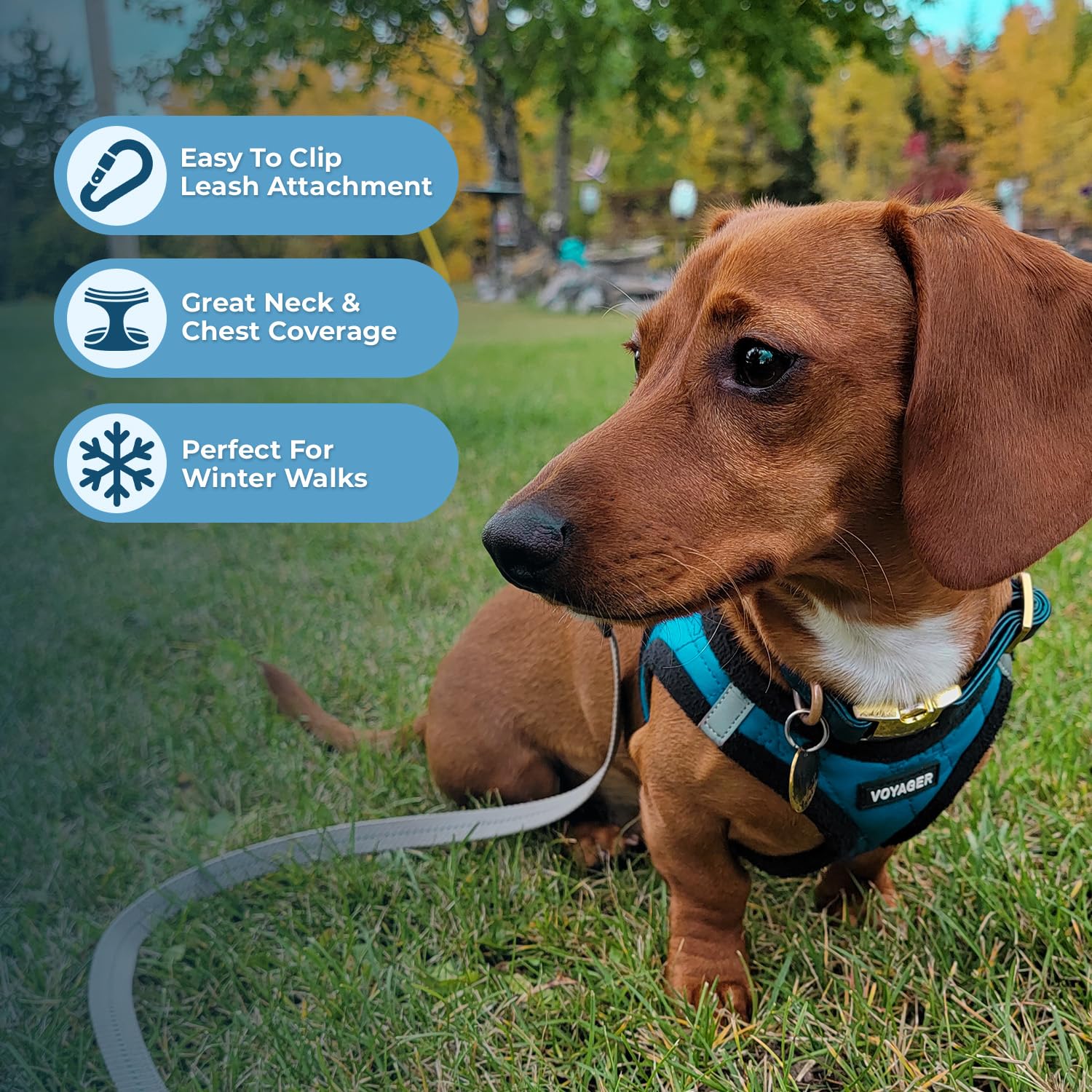 anillas en D dobles de Best Pet Supplies para seguridad resistente