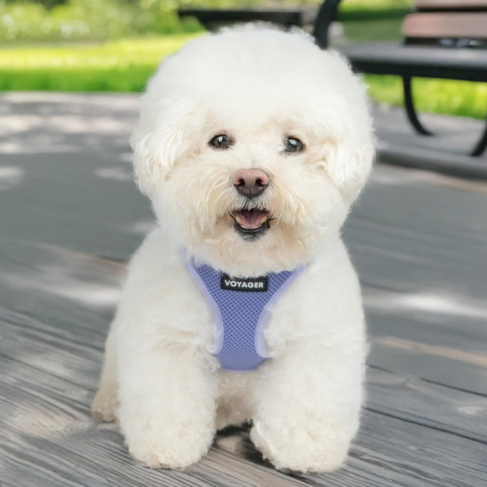 Best Pet Supplies Voyager bandas reflectivas para visibilidad