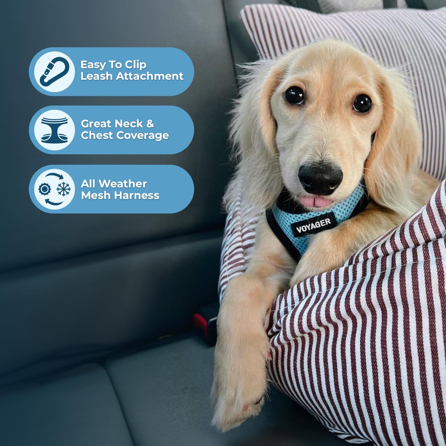 Arnés Voyager de Best Pet Supplies, bandas reflectantes para mayor visibilidad.