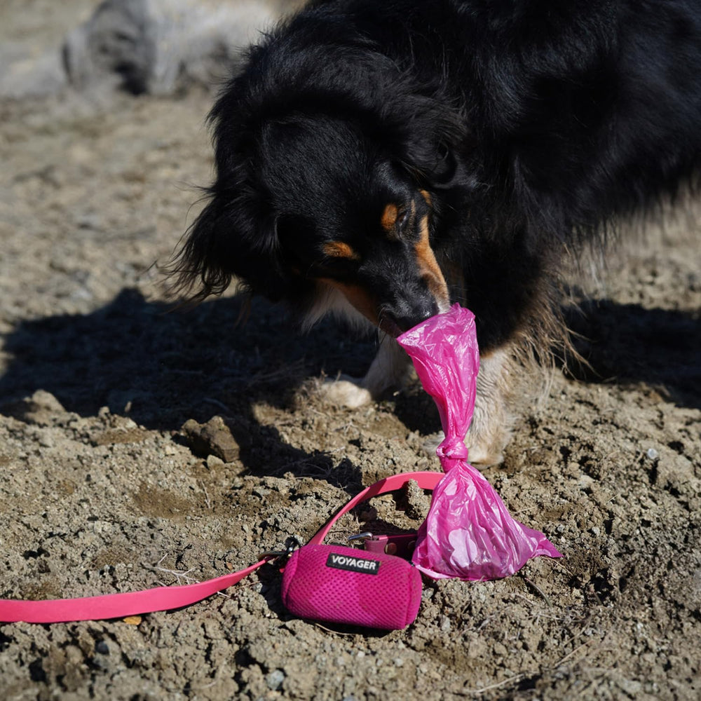 Bolsas Best Pet Supplies de 150 unidades, diseño rosa.