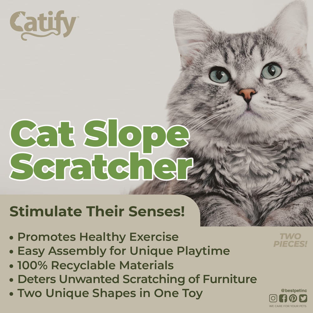 Best Pet Supplies Catify gato-jugando-rascador: ejemplo de uso para diversión activa.