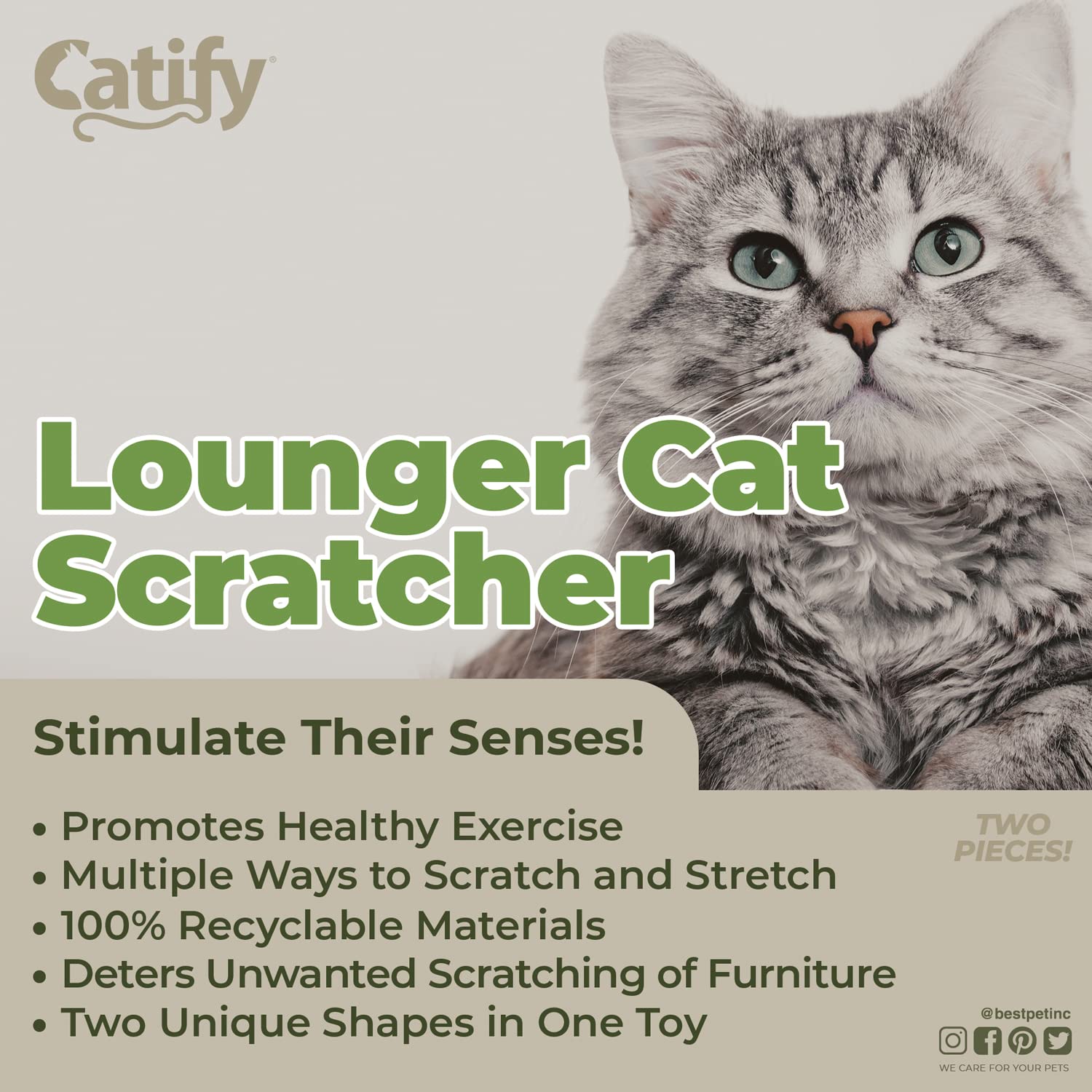 Best Pet Supplies Catify forma ballena para diversión interactiva de gatos
