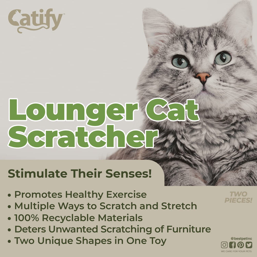 Best Pet Supplies Catify forma ballena para diversión interactiva de gatos