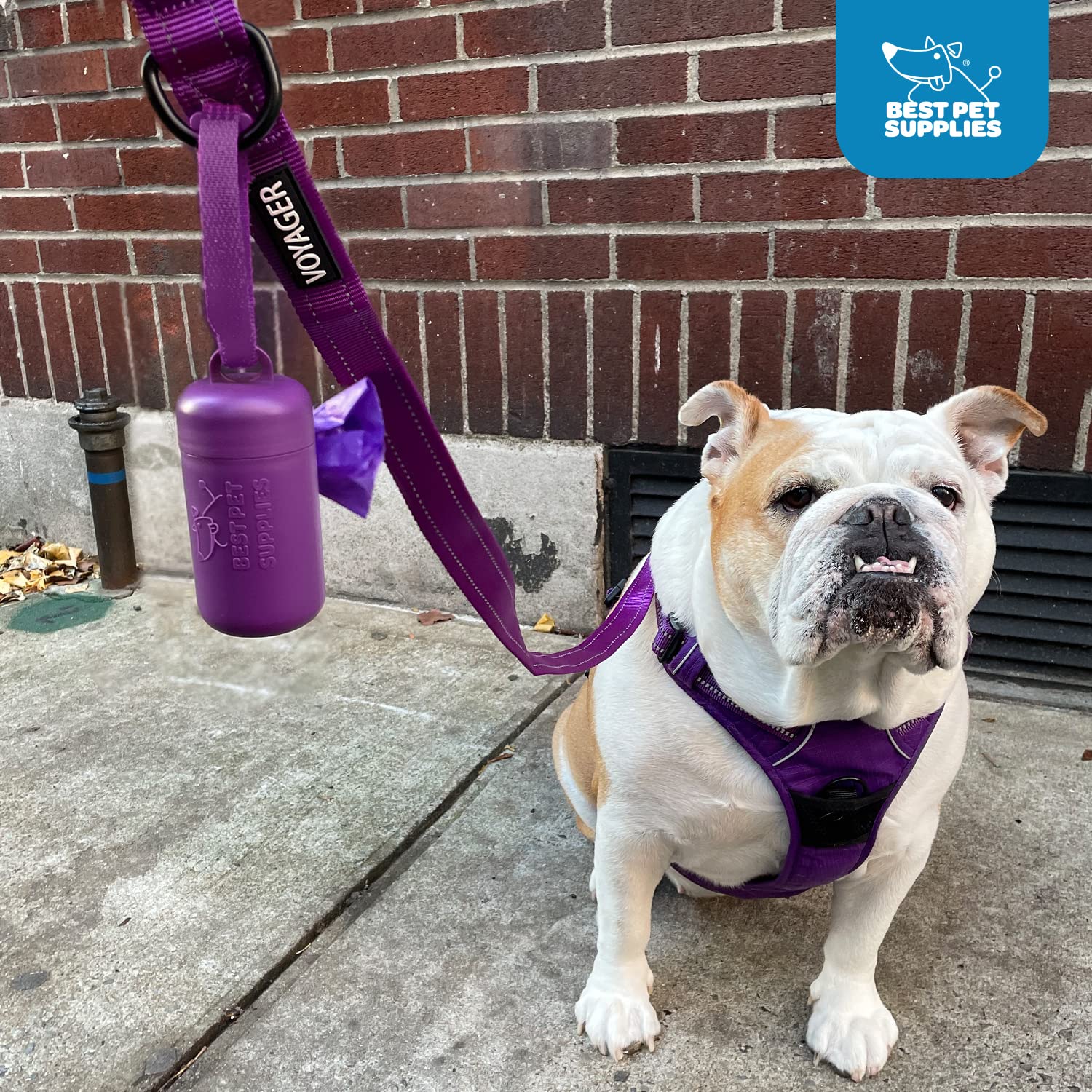 Best Pet Supplies diseño universal, compatible con la mayoría de bolsas estándar para ahorro.