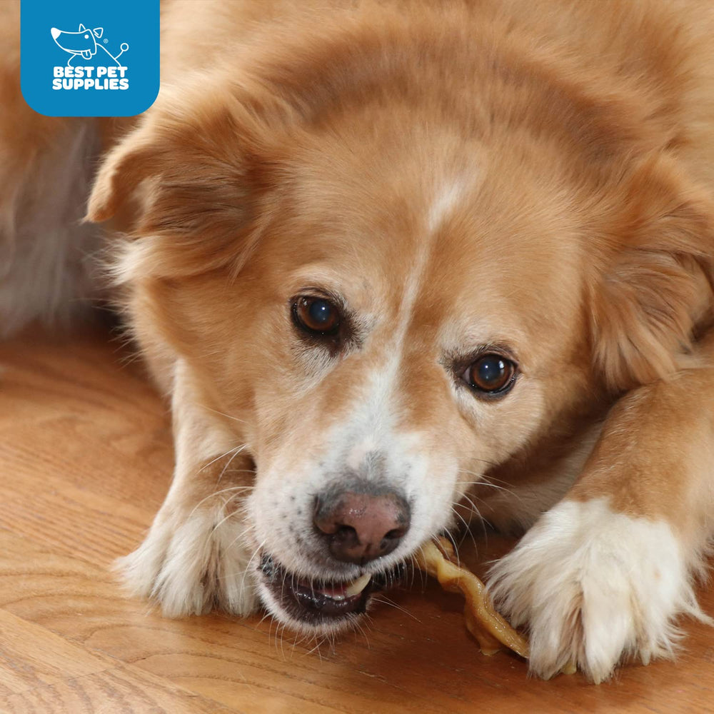 Best Pet Supplies GigaBite caja de orejas: lista para compartir en casa
