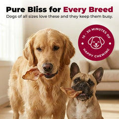 Best Pet Supplies Gigabite textura rugosa, ayuda a masticar y limpiar dientes