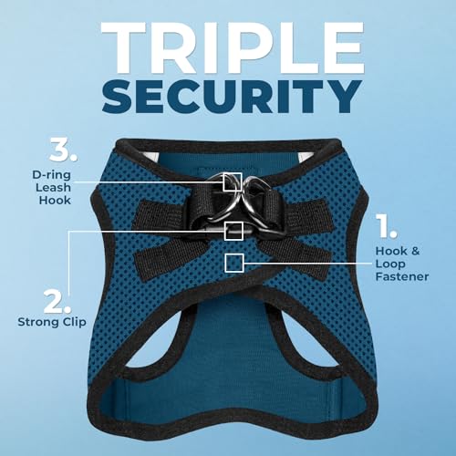 Best Pet Supplies Voyager Step-in Air Harness – harnais en mesh léger pour promenades quotidiennes.