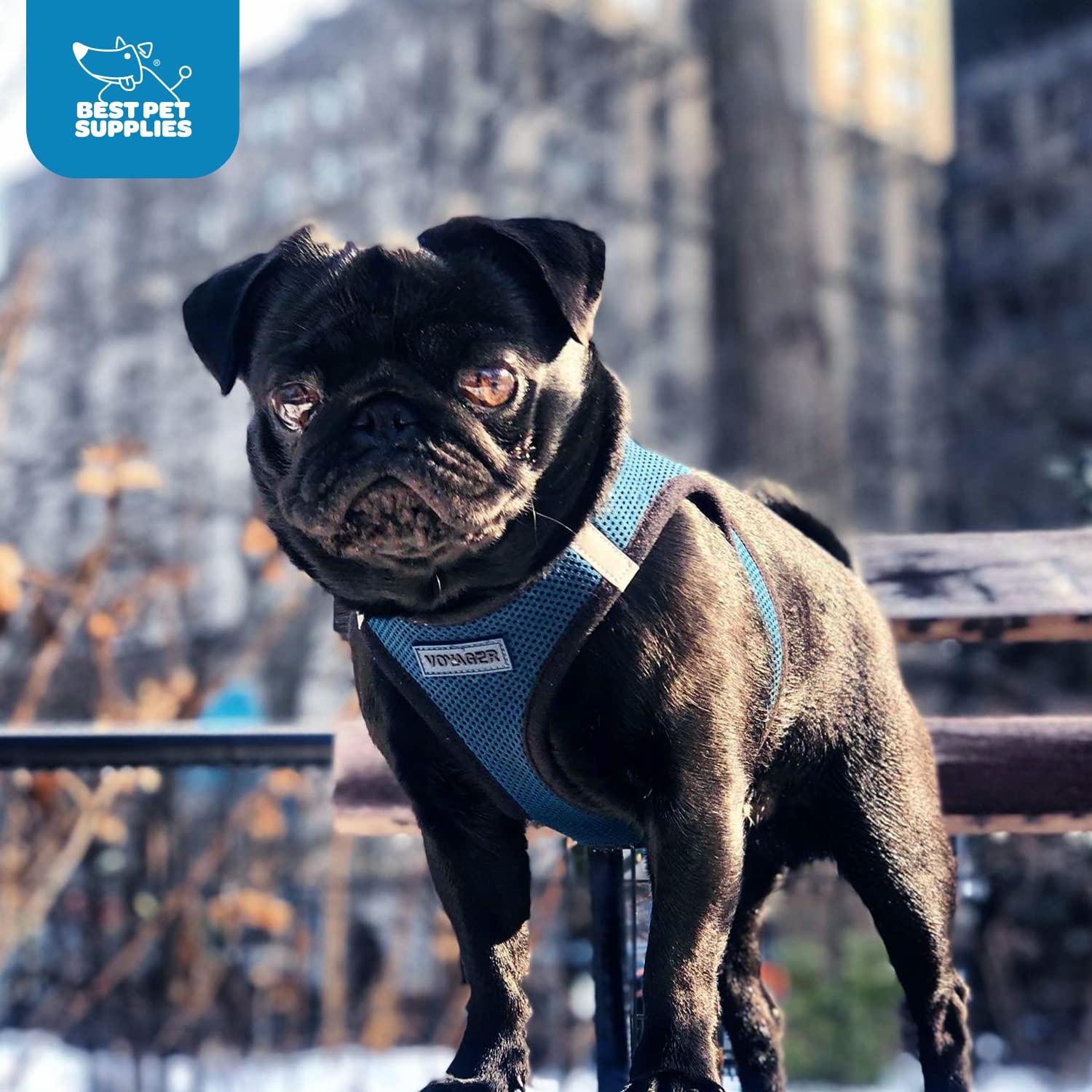 Best Pet Supplies Voyager Step-in Air Harness – mesh respirant durable pour toutes les saisons.