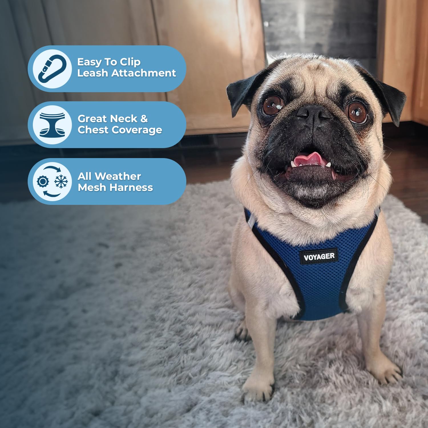 Best Pet Supplies Voyager Step-in Air Harness – bandes réfléchissantes doubles pour meilleure visibilité nocturne.