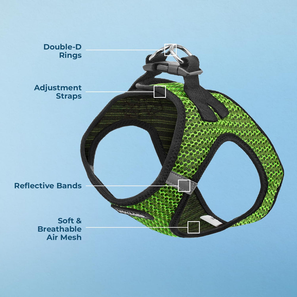 Bandes réfléchissantes du harnais Voyager Best Pet Supplies pour visibilité nocturne.