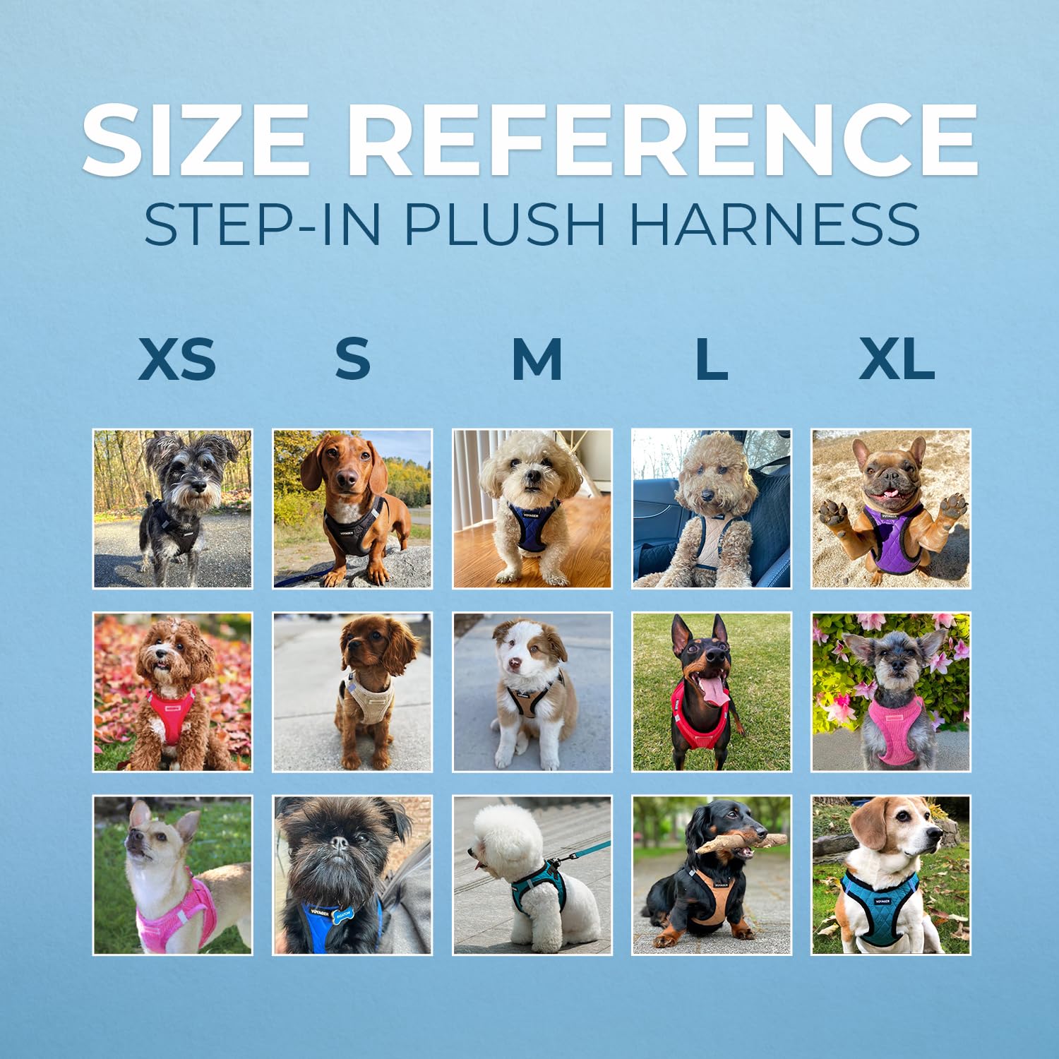 Best Pet Supplies harnais taille ajustable, adapté aux différentes races et morphologies.