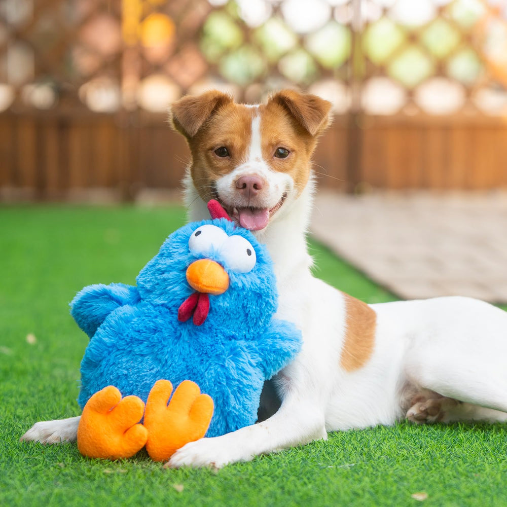 Best Pet Supplies juguete apto para perros de todos los tamaños en interiores.