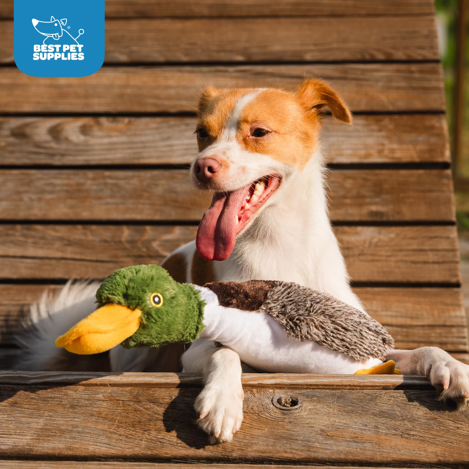 Best Pet Supplies Juguete Interactivo para Perros, fomenta vínculo y confianza durante el juego.
