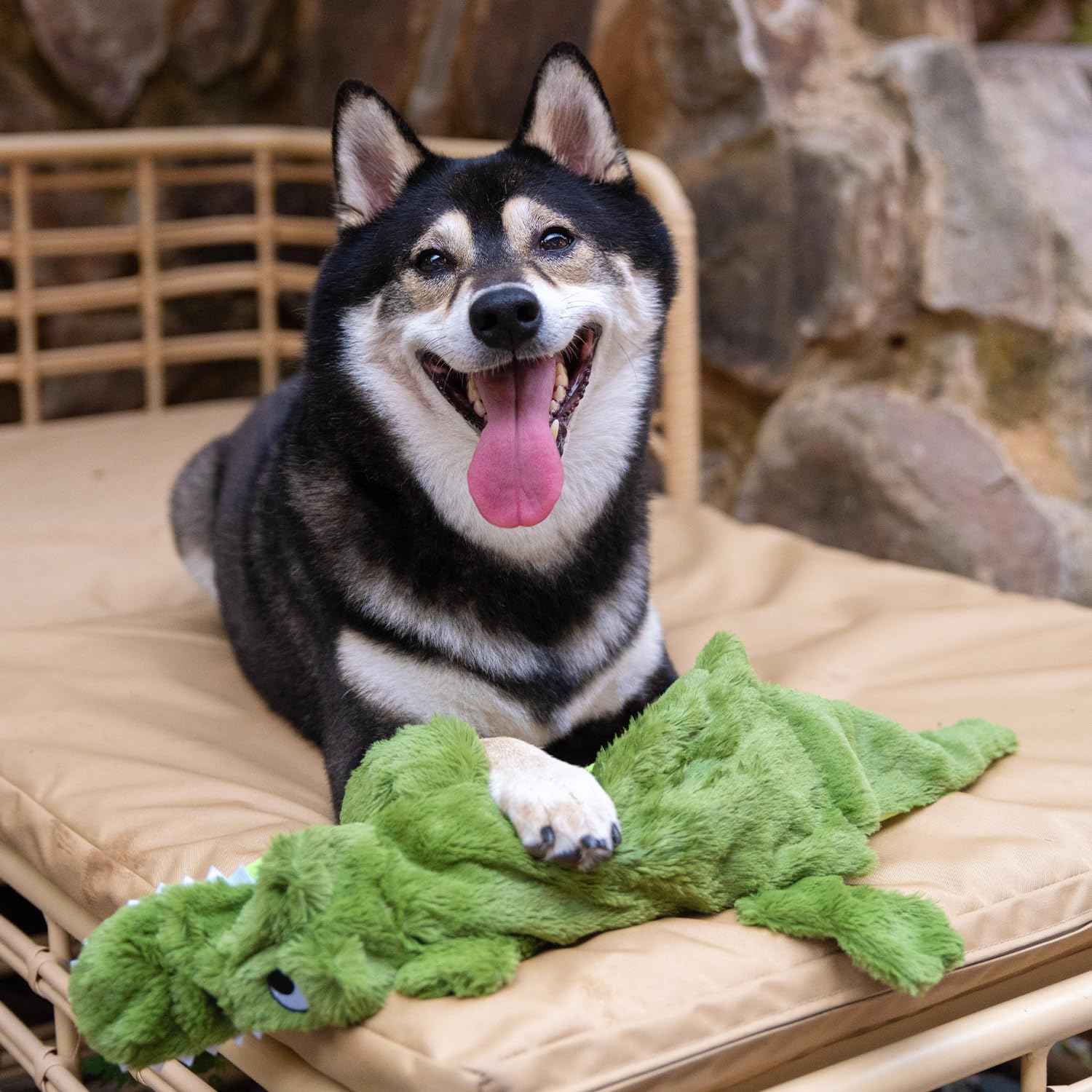 Best Pet Supplies Juguete mediano Alligator para razas pequeñas, medianas y grandes
