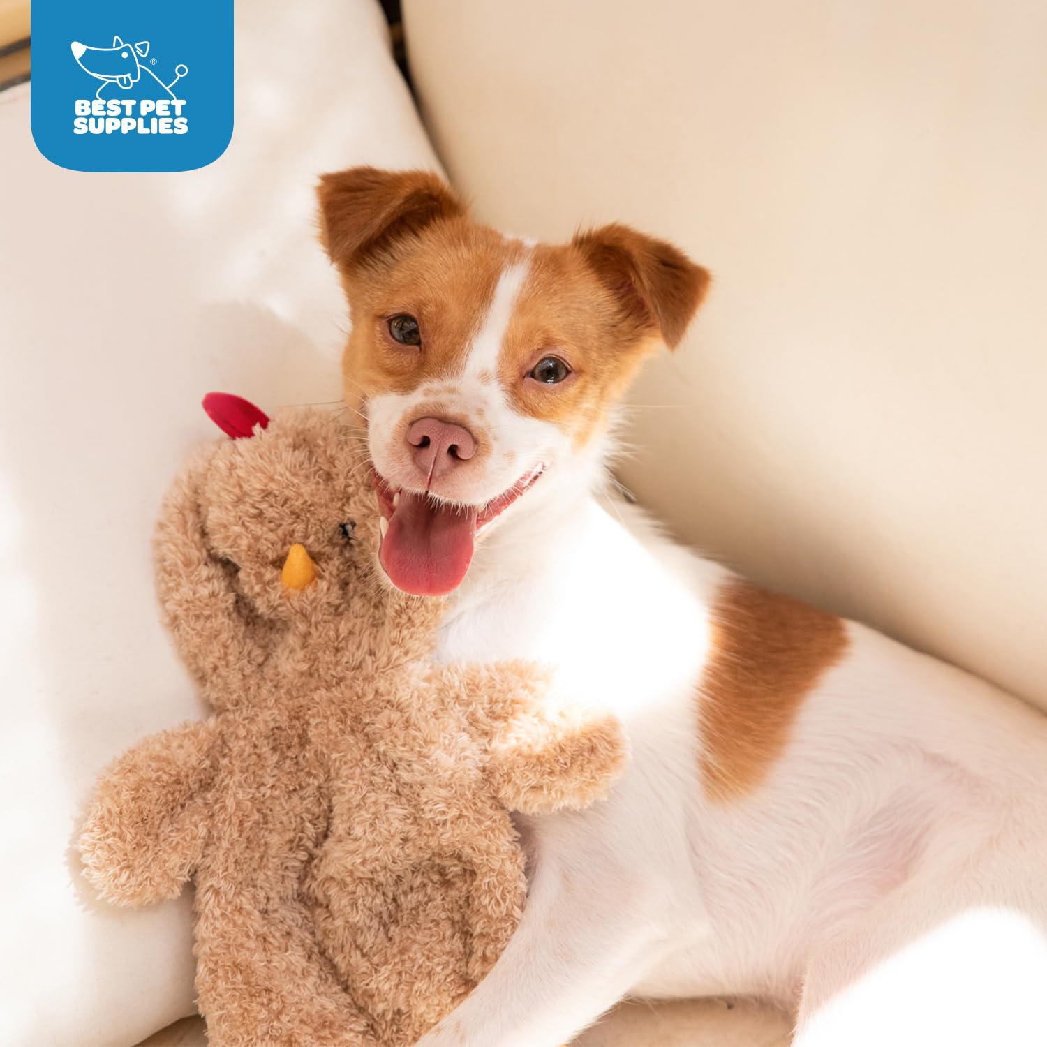 Best Pet Supplies juguete de entrenamiento para perros, fomenta juego repetido y vínculo.