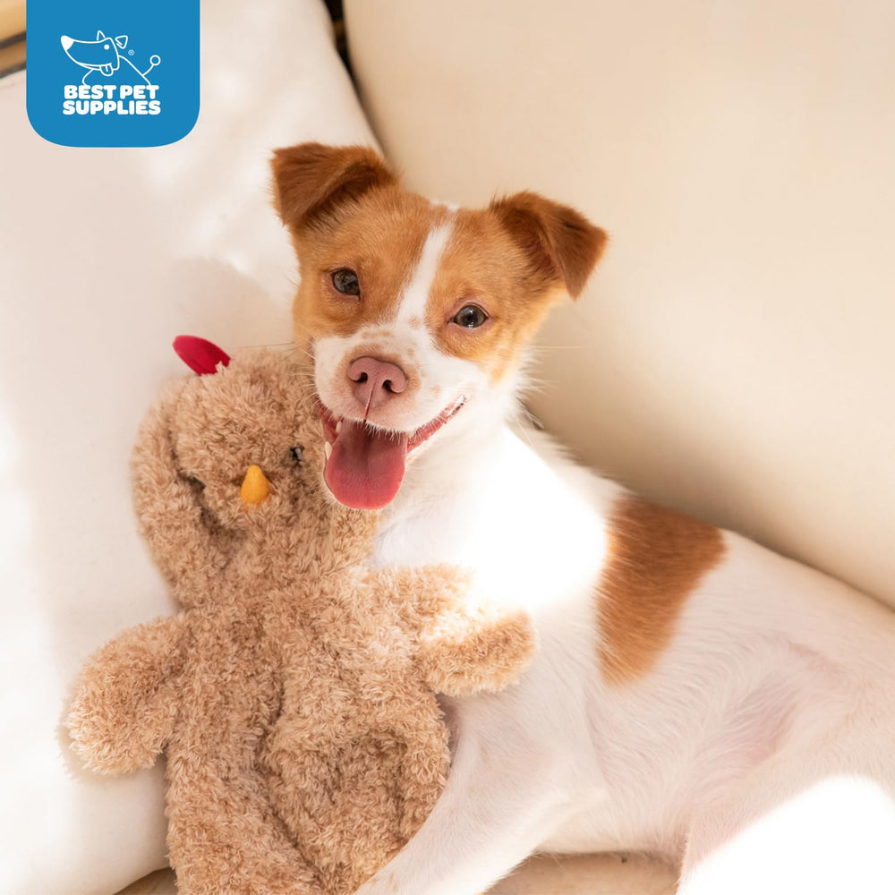 Best Pet Supplies juguete de entrenamiento para perros, fomenta juego repetido y vínculo.