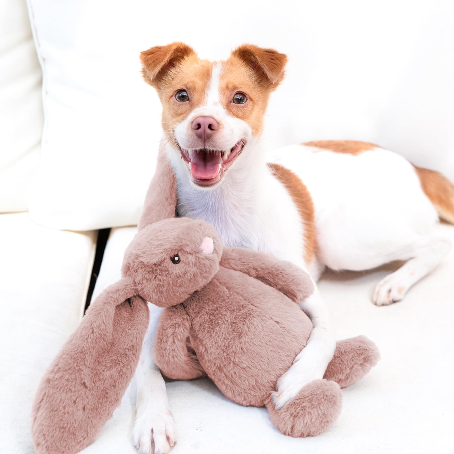 Best Pet Supplies Juguete para buscar, perfecto para sesiones de traer en casa