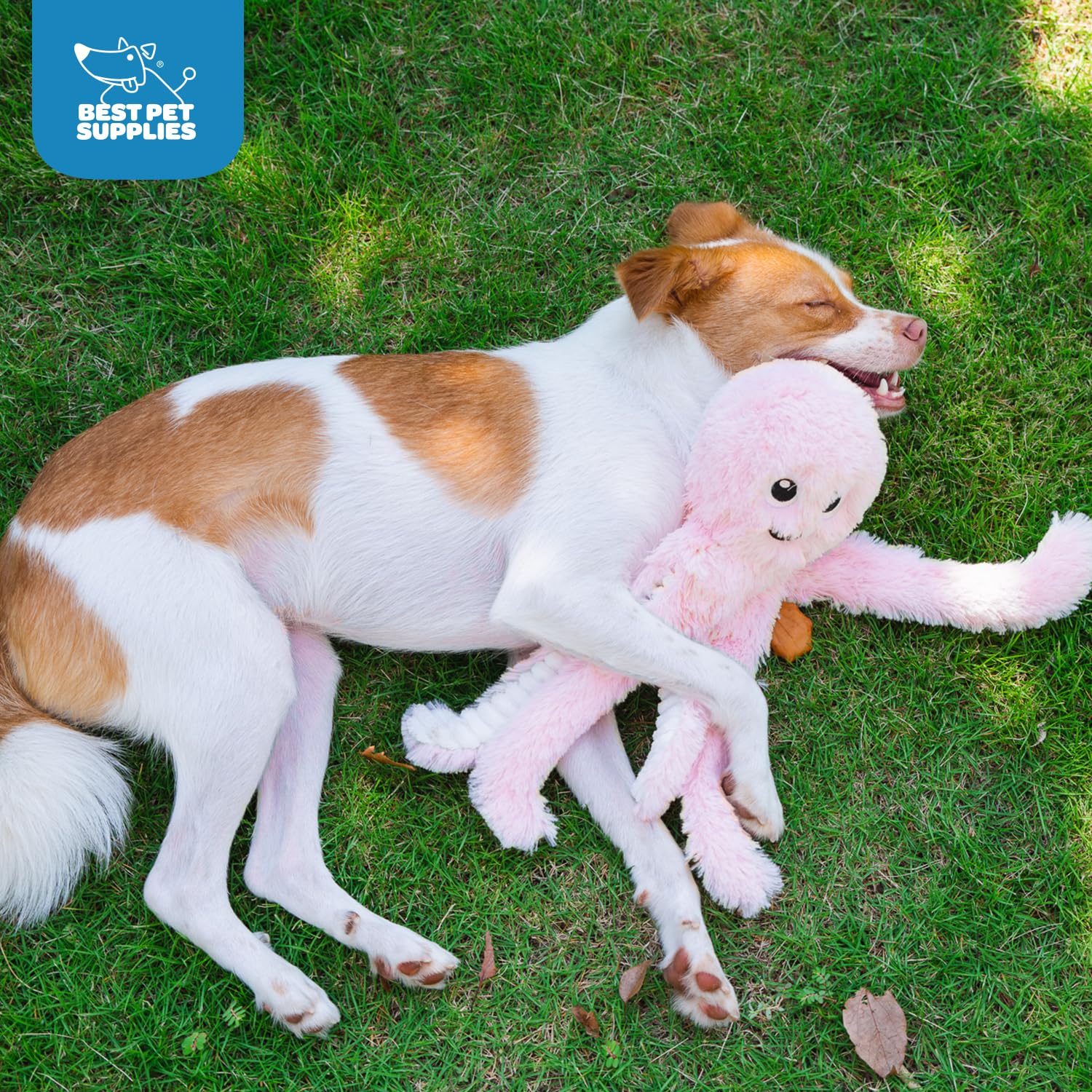 Best Pet Supplies Octomutant rosa grande, juego-busca: ideal para sesiones de búsqueda.