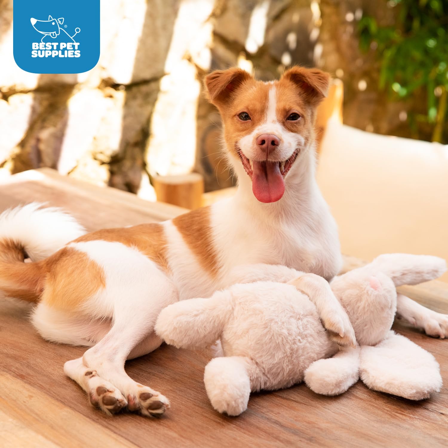 Best Pet Supplies diseño animal llamativo para perros