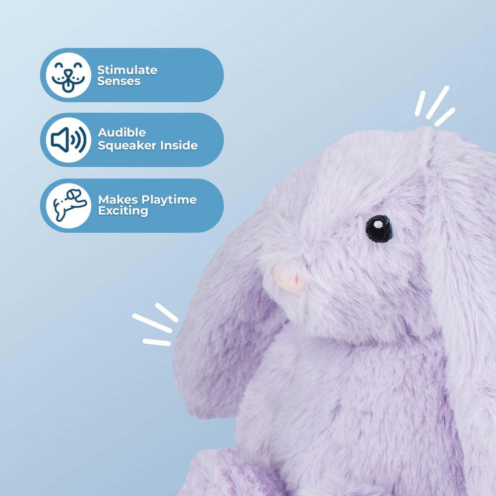 Best Pet Supplies pato con crujido, peluche seguro para mordidas.