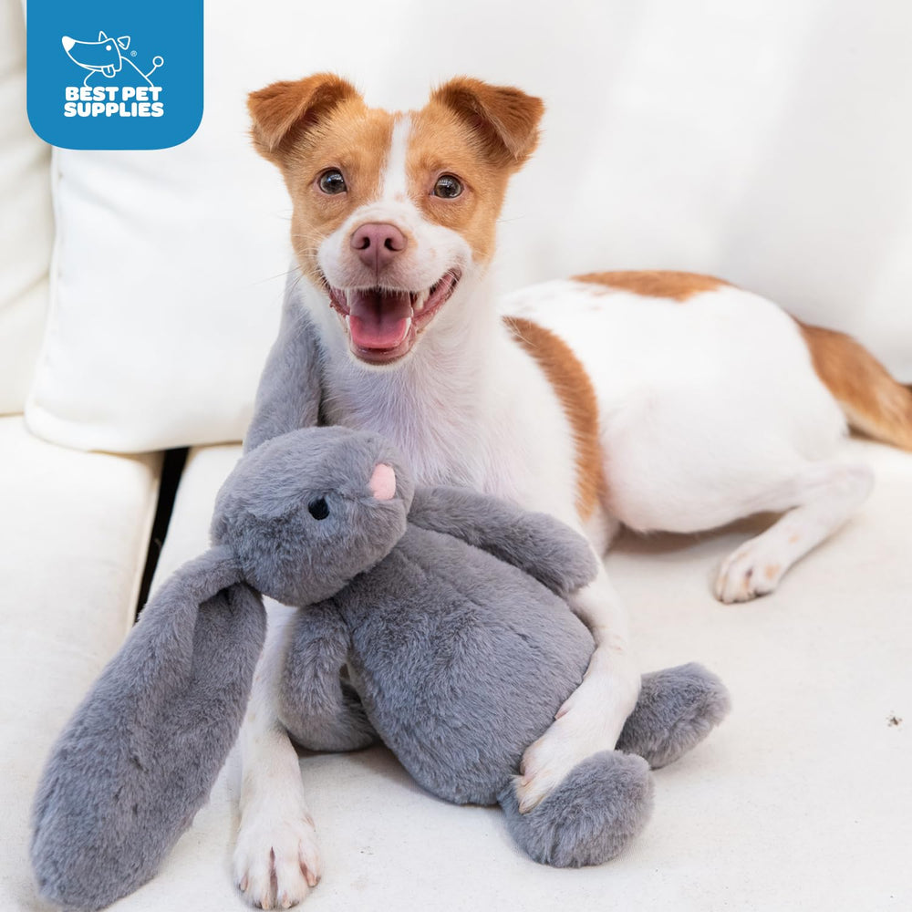 Best Pet Supplies Juguete de peluche para reforzar vínculos familiares durante el juego diario