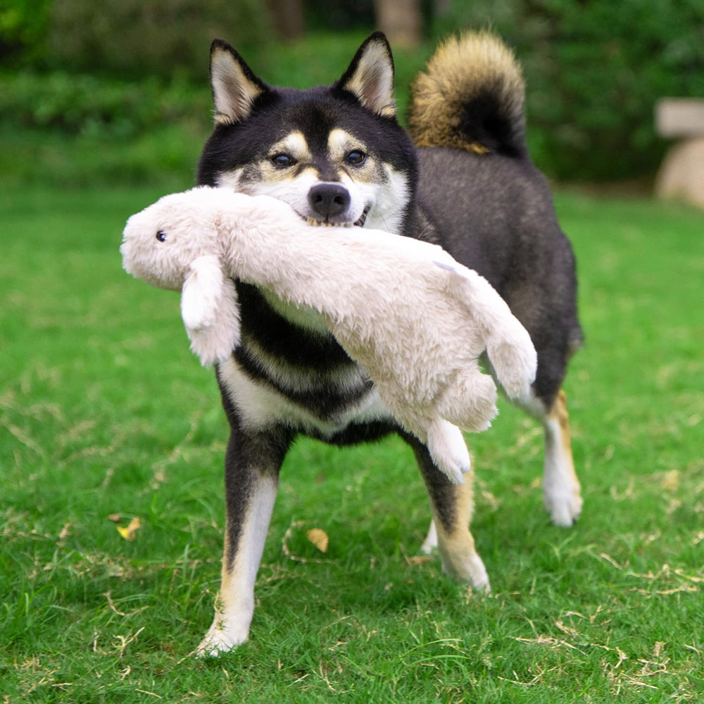 Best Pet Supplies Juguete perro chirriante liebre mediano - cierre seguro para juego prolongado