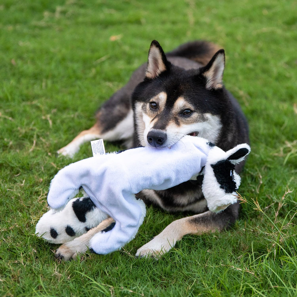 Best Pet Supplies juguete para perro leopardo de nieve, juego activo y mordidas seguras.