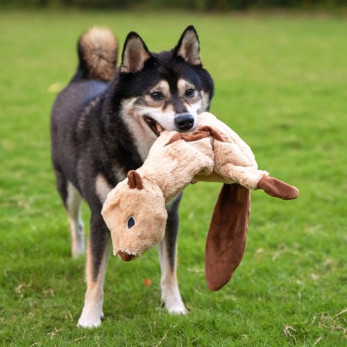 Best Pet Supplies Juguete para perro diseño liebre para juego dinámico.