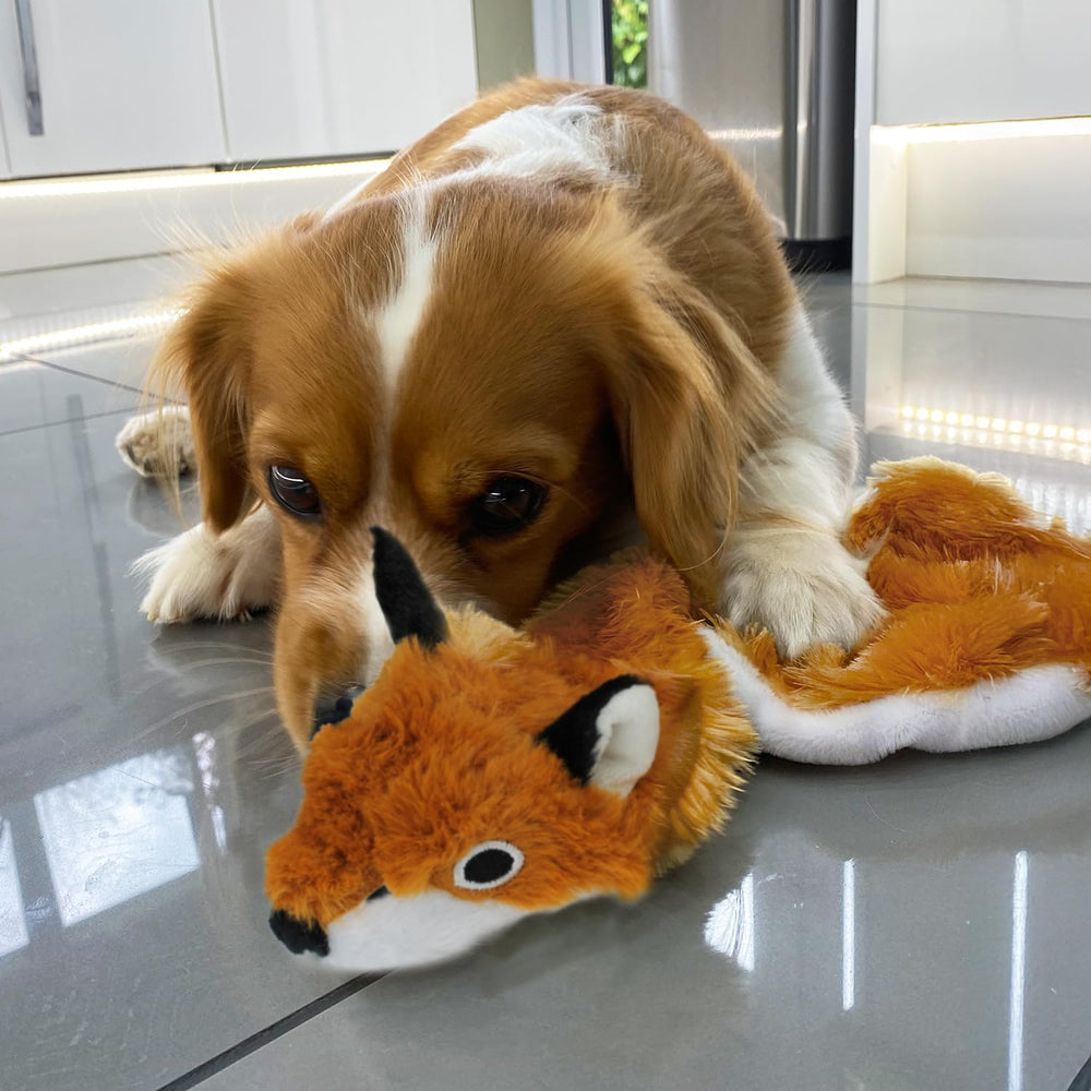 Best Pet Supplies Juguete Interior para Juego Interactivo y Alivio del Aburrimiento