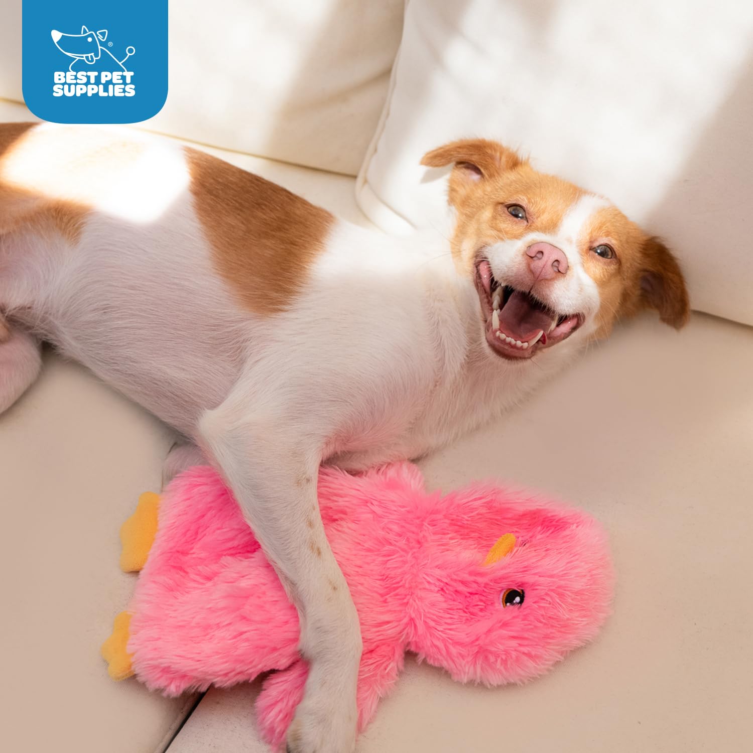 Best Pet Supplies juguete-perro-sonidos-crujidos, añade estímulo sensorial durante juego