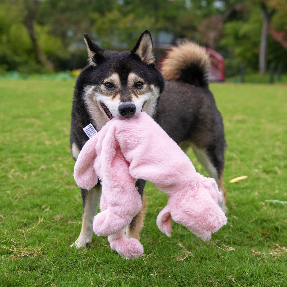 Best Pet Supplies Juguete sin relleno cerdo, diseño variado para coleccionar estilos