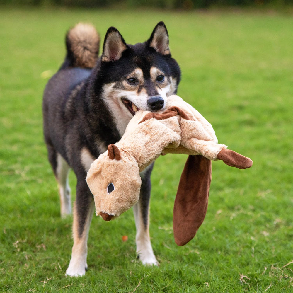 Best Pet Supplies Juguete perro tela suave duradera, calidad para juego prolongado.